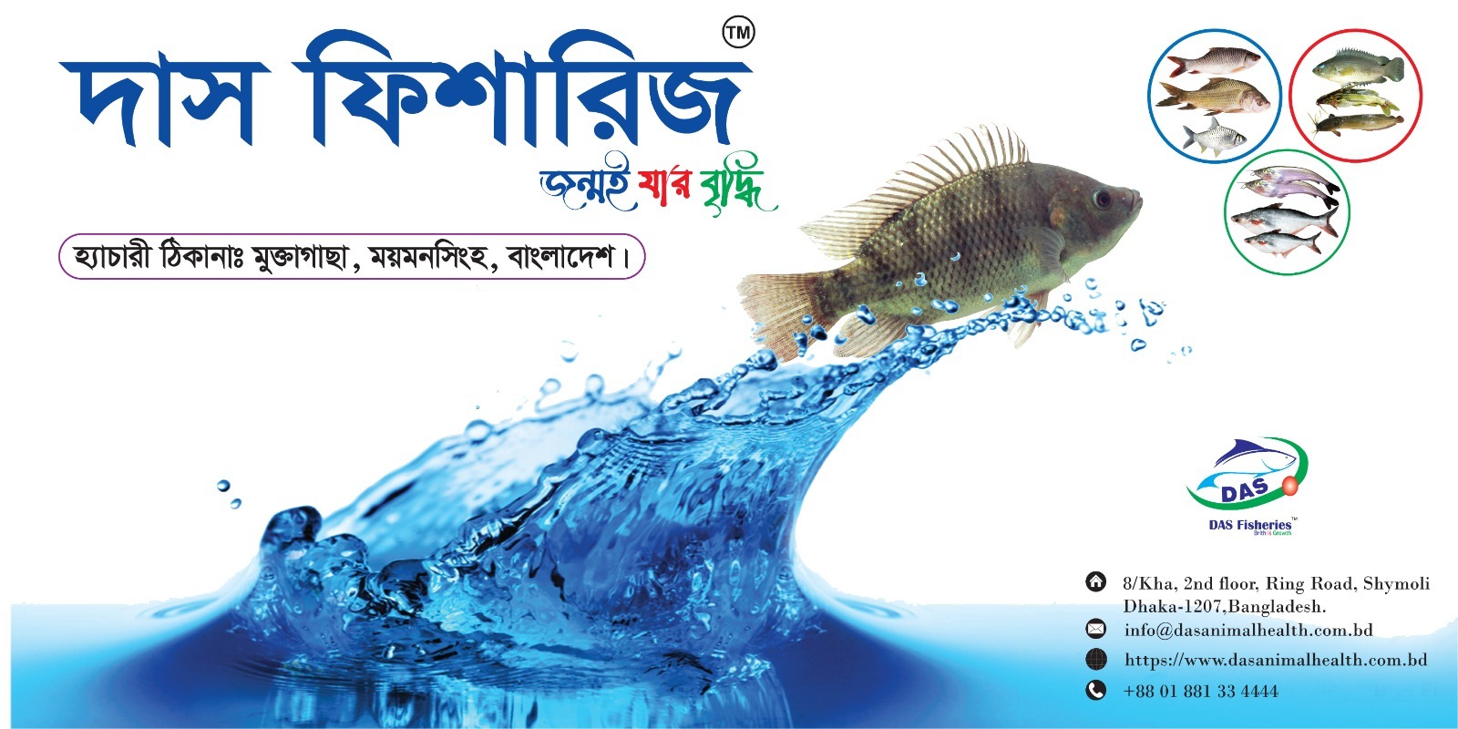 Seafood Image