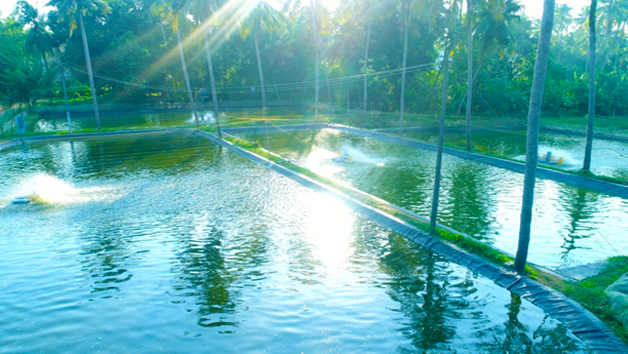 Slide 1